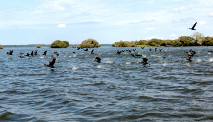 Capture d’écran 2026-01-22 à 15.53.25