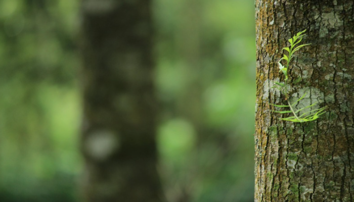 Capture d’écran 2026-01-22 à 15.54.45