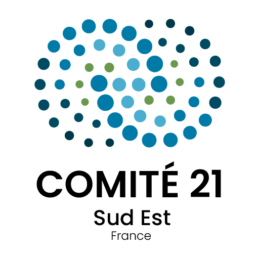 Logo - Comité 21 Sud Est
