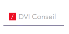 21 - DVI Conseil