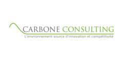 23 - CARBONE CONSULTING